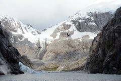 Nena lodowiec w archipelagu Tierra Del Fuego obrazy stock Nena lodowiec w archipelagu Tierra Del Fuego obrazy stock