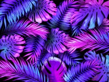 Neon color tropical leaves. Trendy colorful palm tree leaf, jungle background and purple exotic plants leaves vector