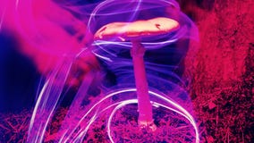 Neon Magic Mushroom In Forest On Moss Stock Photos