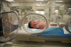 Neonata latina neonata fotografie stock Neonata latina neonata fotografie stock