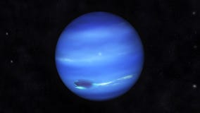 Neptune Neptune