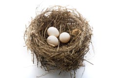 Nest And Eggs Royalty Free Stock Photo Nest And Eggs Royalty Free Stock Photo