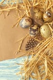 Nest with Easter eggs on blue wooden background, top view with copy space royalty free stock images Nest with Easter eggs on blue wooden background, top view with copy space royalty free stock images
