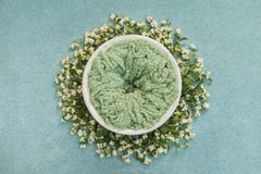 Nest with a green mat for photo shoots of newborns, decorated with sprigs with white berries royalty free stock photos Nest with a green mat for photo shoots of newborns, decorated with sprigs with white berries royalty free stock photos
