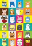 Nette Hunde und Katzen eingestellt Buntes Muster des Vektors von Haustieren Lizenzfreie Stockfotografie Nette Hunde und Katzen eingestellt Buntes Muster des Vektors von Haustieren Lizenzfreie Stockfotografie