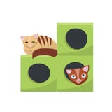 Nette lustige langhaarige, beige Katze, die auf Katzenhaus spielt Zwei Katzen, die im Katzenpostenloch sitzen Flacher Karikaturar vektor abbildung Nette lustige langhaarige, beige Katze, die auf Katzenhaus spielt Zwei Katzen, die im Katzenpostenloch sitzen Flacher Karikaturar vektor abbildung