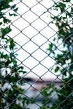 Netto i ogrodowa tło plama i fotografia stock Netto i ogrodowa tło plama i fotografia stock