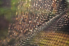 Nettomuster unter Sonnenlicht f?r Tapete oder Hintergrund lizenzfreie stockbilder Nettomuster unter Sonnenlicht f?r Tapete oder Hintergrund lizenzfreie stockbilder