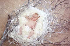 Neugeborenes Baby mit weißer Feder in Nest Porträt entzückenden Nes lizenzfreies stockbild Neugeborenes Baby mit weißer Feder in Nest Porträt entzückenden Nes lizenzfreies stockbild