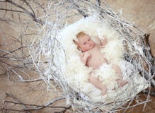 Neugeborenes Baby mit weißer Feder in Nest Porträt entzückenden Nes stockfoto Neugeborenes Baby mit weißer Feder in Nest Porträt entzückenden Nes stockfoto