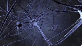 Neuron running nerve impulse