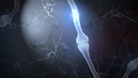 Neuronal and Synapse Activity animation. Electrical impulses inside the human brain