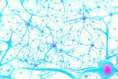 Neuronen im Gehirn auf weißem Hintergrund mit Fokuseffekt Abbildung 3D lizenzfreie stockbilder Neuronen im Gehirn auf weißem Hintergrund mit Fokuseffekt Abbildung 3D lizenzfreie stockbilder