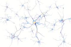 Neurons in the brain on white background with focus effect. 3d rendering stock illustration Neurons in the brain on white background with focus effect. 3d rendering stock illustration