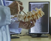 A neurosurgeon pointing at nerve root of lumbar vertebra model royalty free stock photo A neurosurgeon pointing at nerve root of lumbar vertebra model royalty free stock photo