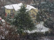 Neve prima del Natale in una vicinanza fotografia stock libera da diritti Neve prima del Natale in una vicinanza fotografia stock libera da diritti