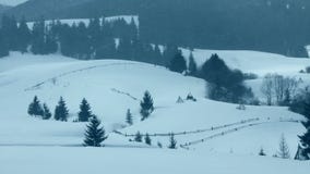 Neve que cai na floresta video estoque Neve que cai na floresta video estoque