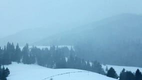 Neve que cai na floresta vídeos de arquivo Neve que cai na floresta vídeos de arquivo