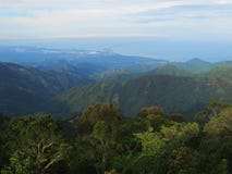 Nevelwoud/Wolkenwald; Santa Marta Mountains, Sierra Nevada, lizenzfreies stockfoto Nevelwoud/Wolkenwald; Santa Marta Mountains, Sierra Nevada, lizenzfreies stockfoto