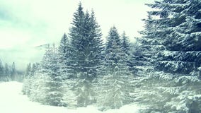 Nevicando sugli alberi Inverno in montagne Nevicando sugli alberi Inverno in montagne