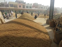 New grain market indua stock image New grain market indua stock image