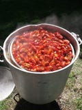 New Orleans Crawfish Boil stock image New Orleans Crawfish Boil stock image