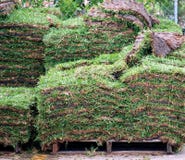 New Sod royalty free stock photos