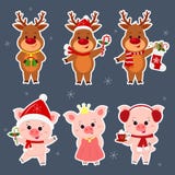 New Year and Christmas card. A set sticker of three deer and three pigs characters in different hats and costumes in vector illustration New Year and Christmas card. A set sticker of three deer and three pigs characters in different hats and costumes in vector illustration