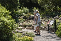 NEW YORK CITY, LOS E.E.U.U. - 26 DE JUNIO DE 2018: Mujeres adultas mayores que caminan en el parque imagen de archivo NEW YORK CITY, LOS E.E.U.U. - 26 DE JUNIO DE 2018: Mujeres adultas mayores que caminan en el parque imagen de archivo