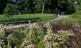 NEW YORK, STATI UNITI - 25 agosto 2016: La gente che si rilassa nel Central Park un bello giorno di estate a New York Fotografia Stock NEW YORK, STATI UNITI - 25 agosto 2016: La gente che si rilassa nel Central Park un bello giorno di estate a New York Fotografia Stock