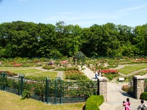 New York - Vereinigte Staaten, Peggy Rockefeller Rose Garden am botanischen Garten New York in Bronx in New York City stockfoto New York - Vereinigte Staaten, Peggy Rockefeller Rose Garden am botanischen Garten New York in Bronx in New York City stockfoto