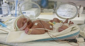 Newborn Baby Stock Photography