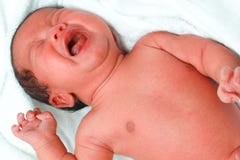 Newborn Crying Royalty Free Stock Image Newborn Crying Royalty Free Stock Image