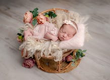 Newborn Girl In Pink Outfit With Toy Cat Sleeps In Heart-Shaped Wooden Bowl