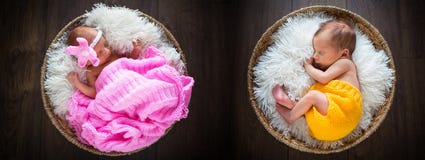 newborn близнецы стоковое изображение newborn близнецы стоковое изображение