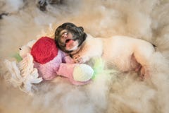 Newborn собаки щенка с игрушкой - 3 дня старого поднимают терьера домкратом Рассела doggy лежит на белой предпосылке стоковые фотографии rf Newborn собаки щенка с игрушкой - 3 дня старого поднимают терьера домкратом Рассела doggy лежит на белой предпосылке стоковые фотографии rf