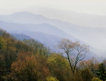Newfound Gap at dawn, Great Smoky Mountains National Park, Tennessee royalty free stock image Newfound Gap at dawn, Great Smoky Mountains National Park, Tennessee royalty free stock image
