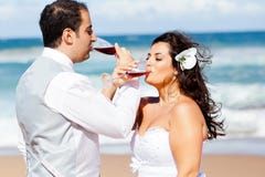 Newlywed Couple Drinking Champagne Stock Photos Newlywed Couple Drinking Champagne Stock Photos