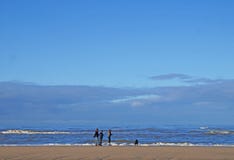 family walking the beach with the dog stock image family walking the beach with the dog stock image