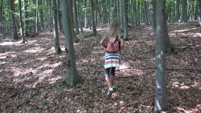 Ni?o que camina en el bosque, naturaleza al aire libre del ni?o, muchacha que juega en aventura que acampa metrajes Ni?o que camina en el bosque, naturaleza al aire libre del ni?o, muchacha que juega en aventura que acampa metrajes