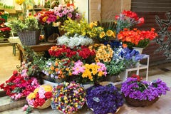 Nice - Flowers In The Street Market Stock Images