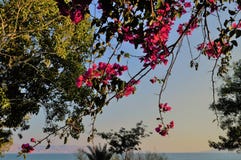 Nice view of the lake of Galilee stock photos Nice view of the lake of Galilee stock photos