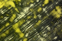 Yellow grunge desk with large cleared spots texture - nice abstract photo background vector illustration Yellow grunge desk with large cleared spots texture - nice abstract photo background vector illustration