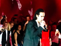 Nick Cave & as sementes más no concerto em Viena fotos de stock royalty free Nick Cave & as sementes más no concerto em Viena fotos de stock royalty free