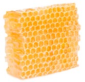 Nid d'abeilles image libre de droits Nid d'abeilles image libre de droits
