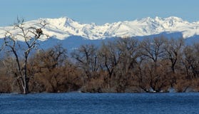 Nid et montagnes d'Eagles photographie stock libre de droits Nid et montagnes d'Eagles photographie stock libre de droits