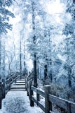 ?nie?ny widok xiling ?nie?nego muntain zdjęcie stock ?nie?ny widok xiling ?nie?nego muntain zdjęcie stock