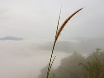 niebla imágenes de archivo libres de regalías niebla imágenes de archivo libres de regalías
