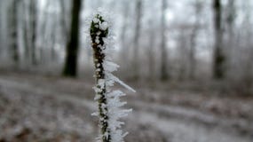 Niederlassung/Zweig im Winter mit Schneekristallen und -schneeflocken Unscharfer Hintergrund Makro stockbilder Niederlassung/Zweig im Winter mit Schneekristallen und -schneeflocken Unscharfer Hintergrund Makro stockbilder