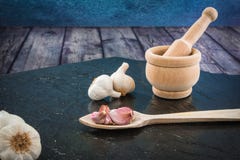 Niektóre garlics i moździerz obrazy stock Niektóre garlics i moździerz obrazy stock